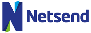 Netsend Logo